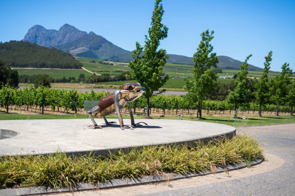 Residential vacant land for sale in Klapmuts - ST1709069 Residential vacant land for sale in Klapmuts - ST1709069