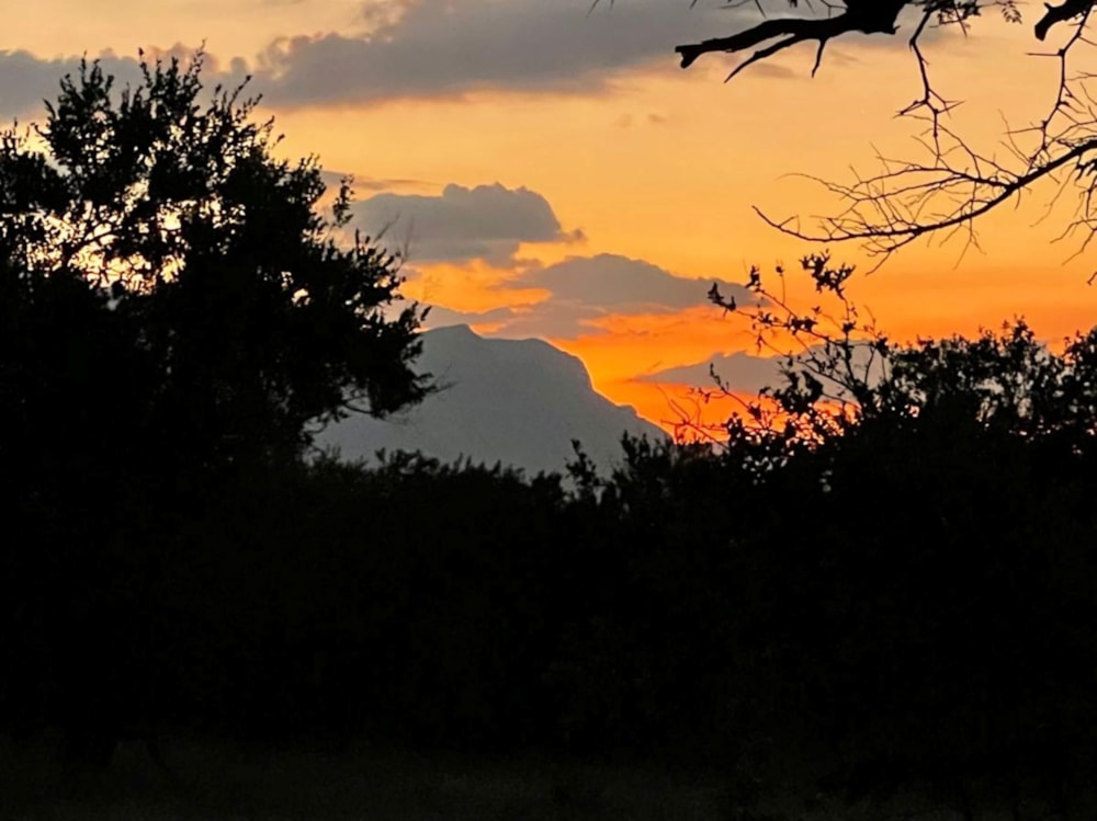 Vacant land for sale in Blyde Wildlife Estate - 1HS1709515 Vacant land for sale in Blyde Wildlife Estate - 1HS1709515