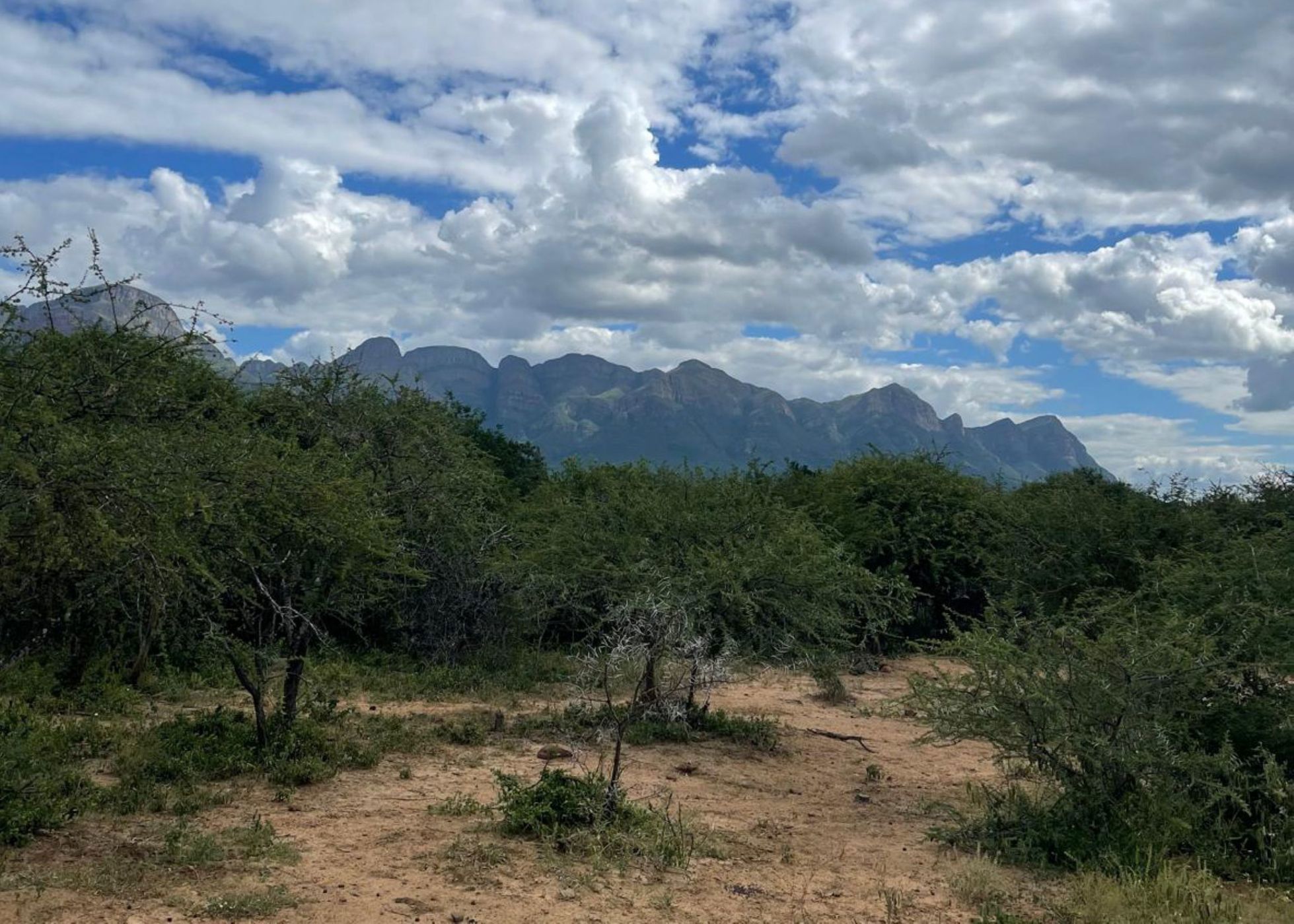 Vacant land for sale in Blyde Wildlife Estate - 1HS1709515