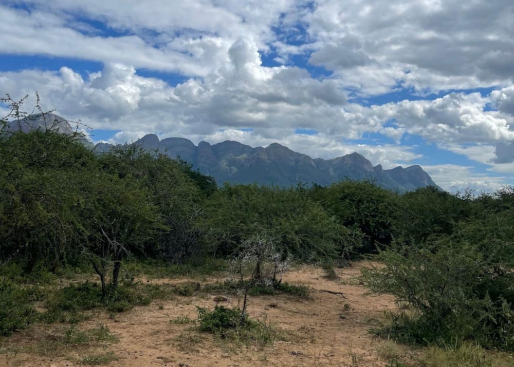 Vacant land for sale in Blyde Wildlife Estate - 1HS1709515