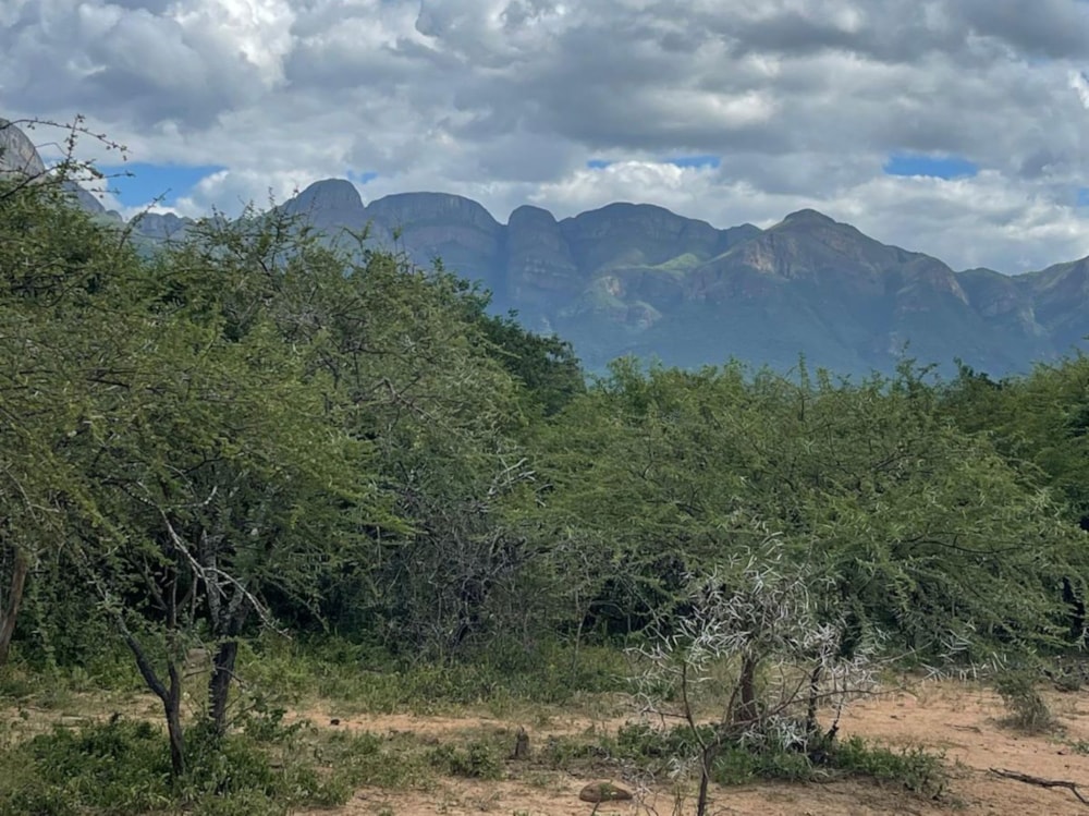 Vacant land for sale in Blyde Wildlife Estate - 1HS1709515 Vacant land for sale in Blyde Wildlife Estate - 1HS1709515