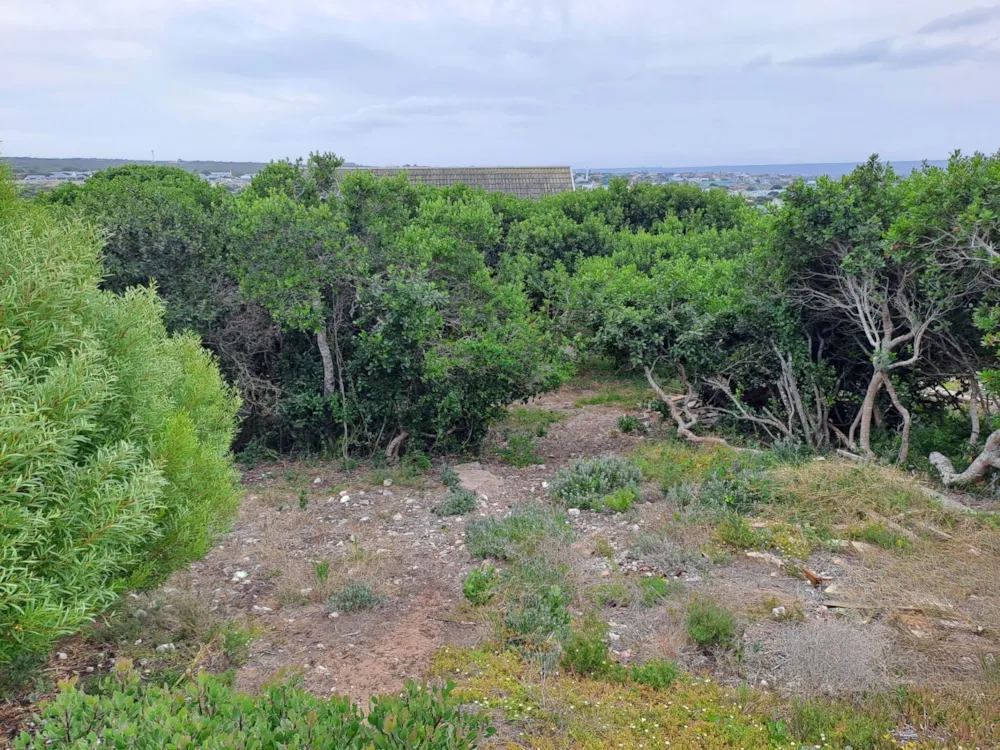 Vacant land for sale in Stilbaai West - 1SR1644576