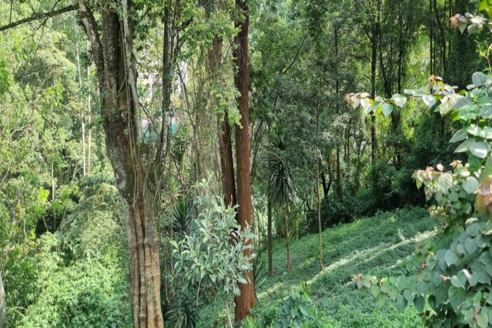 House for sale in Kitisuru, Kenya - 3KE1708873