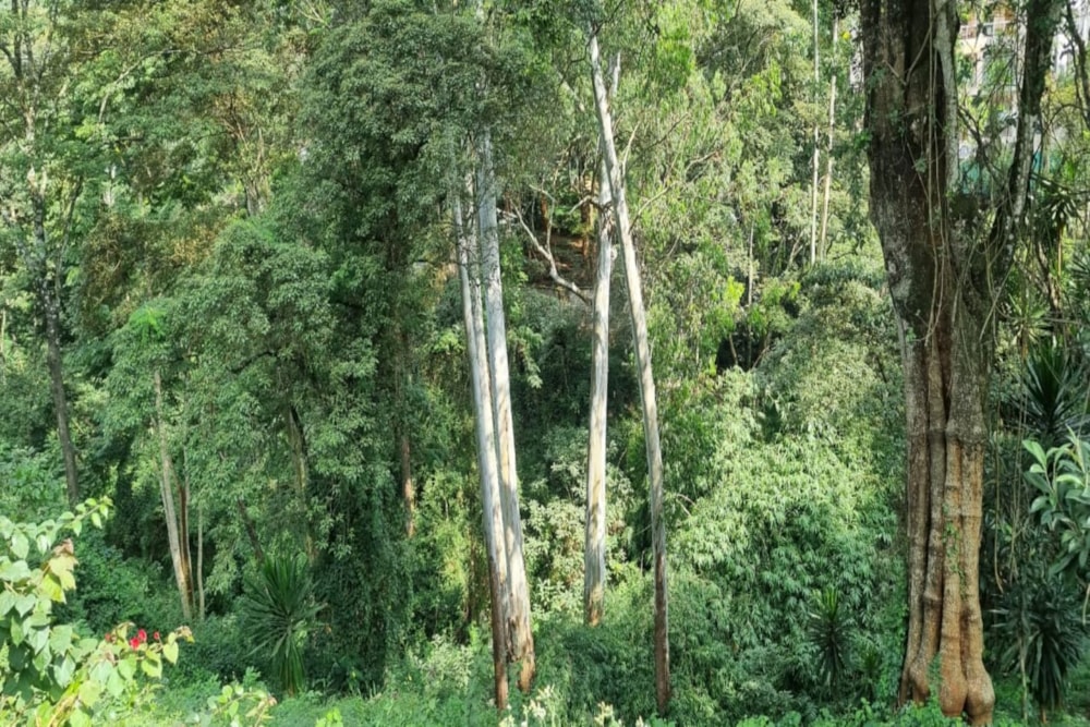 House for sale in Kitisuru, Kenya - 3KE1708873