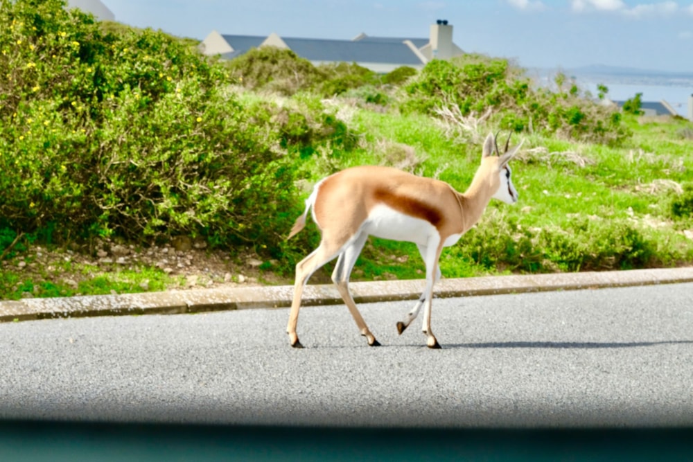 Residential vacant land for sale in Hoogland, Saldanha Bay - LA1699603 Residential vacant land for sale in Hoogland, Saldanha Bay - LA1699603