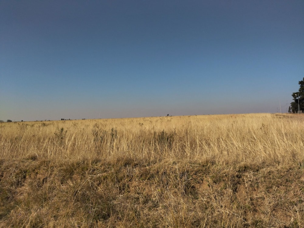 Farm vacant land for sale in Brakpan - 1BJ1707705