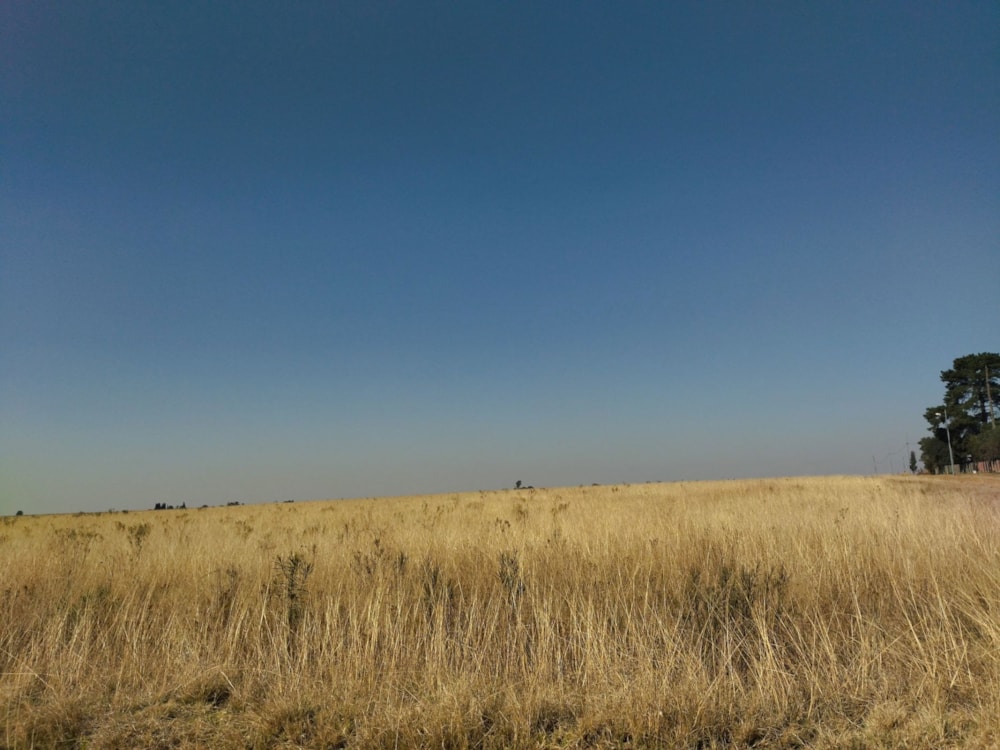 Farm vacant land for sale in Brakpan - 1BJ1707705