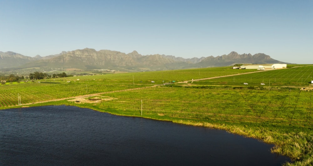 Farm vacant land for sale in Stellenbosch Farms - ST1709360 Farm vacant land for sale in Stellenbosch Farms - ST1709360