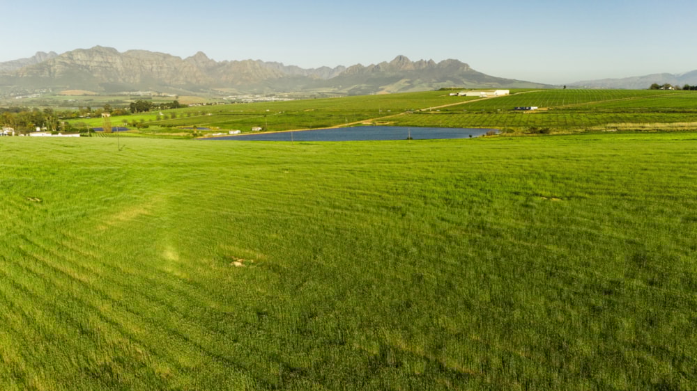 Farm vacant land for sale in Stellenbosch Farms - ST1709360