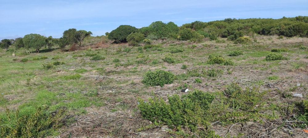 Vacant land sold in Kleinbaai - 1SW1681925 Vacant land sold in Kleinbaai - 1SW1681925