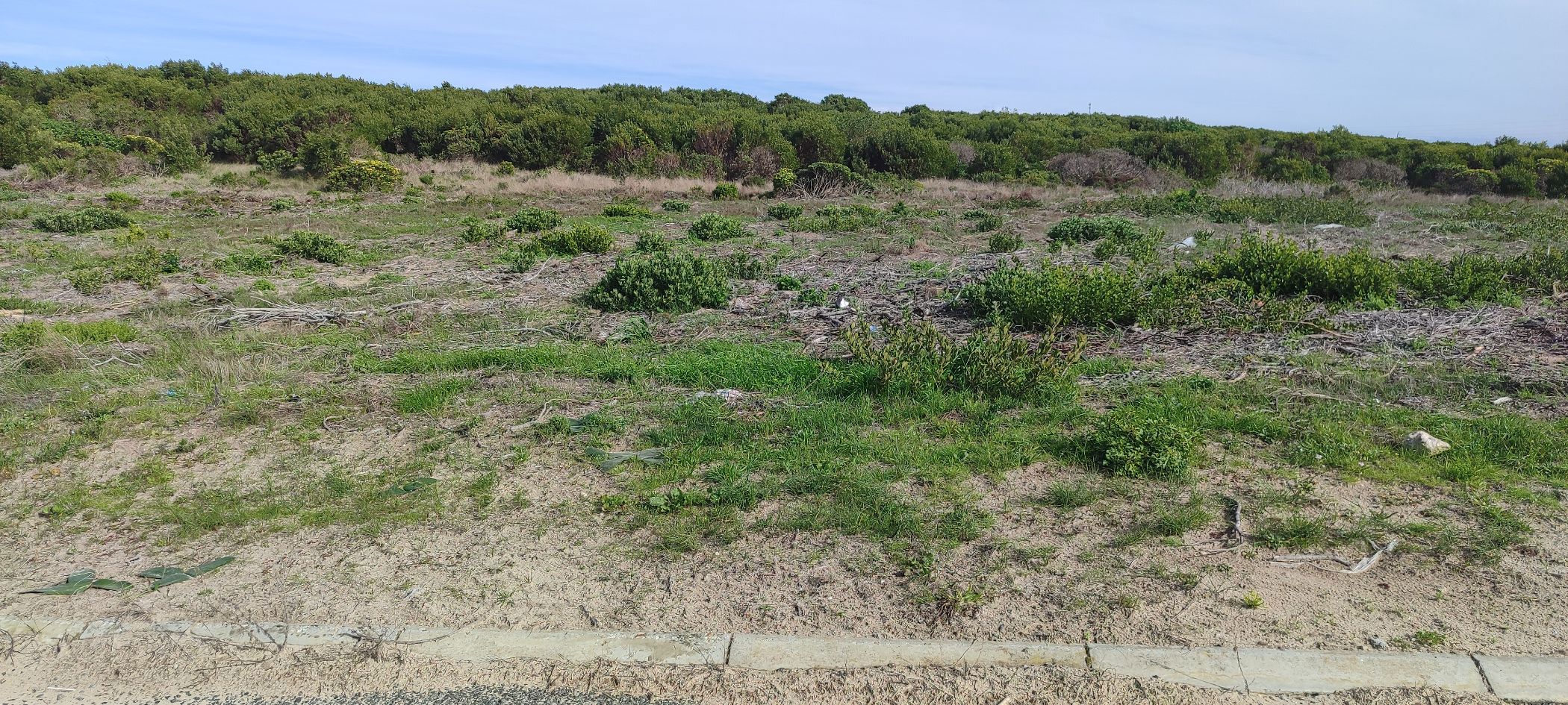 Vacant land sold in Kleinbaai - 1SW1681925