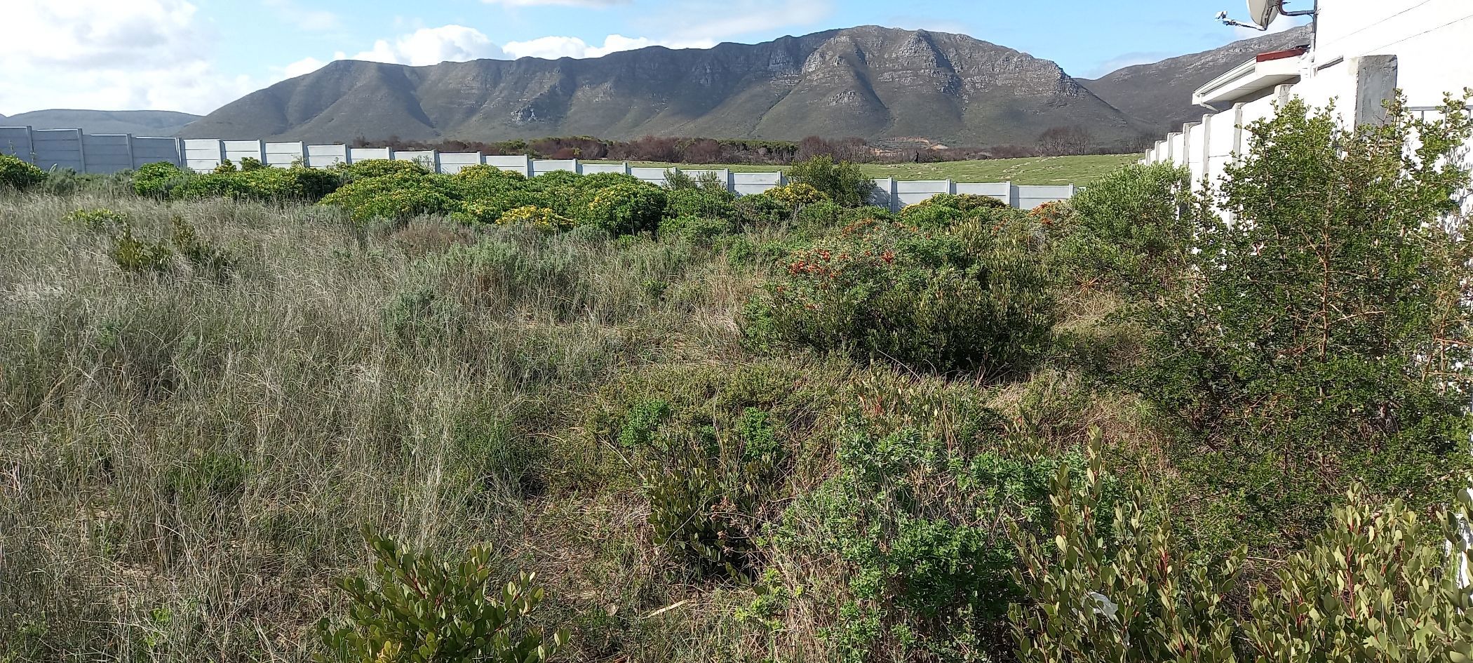 Residential vacant land for sale in Perlemoenbaai - 1SW1708887