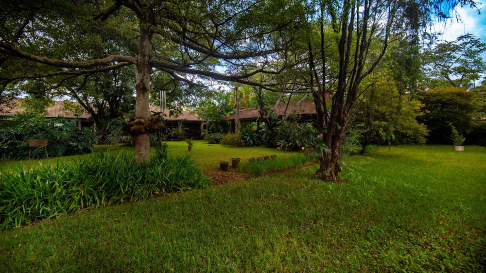 Residential vacant land sold in Lavington, Kenya - 3KE1698811