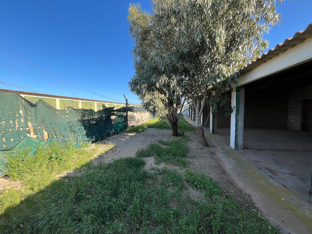 Commercial vacant land to rent in Kleinsee - 1NA1733737 Commercial vacant land to rent in Kleinsee - 1NA1733737