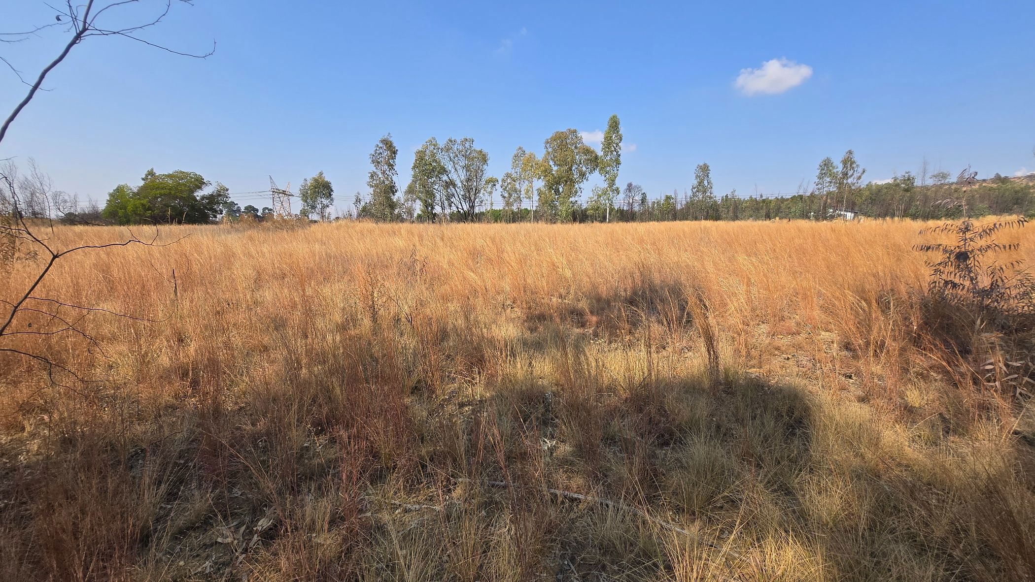 Farm vacant land for sale in Tiegerpoort AH - PRN1708556