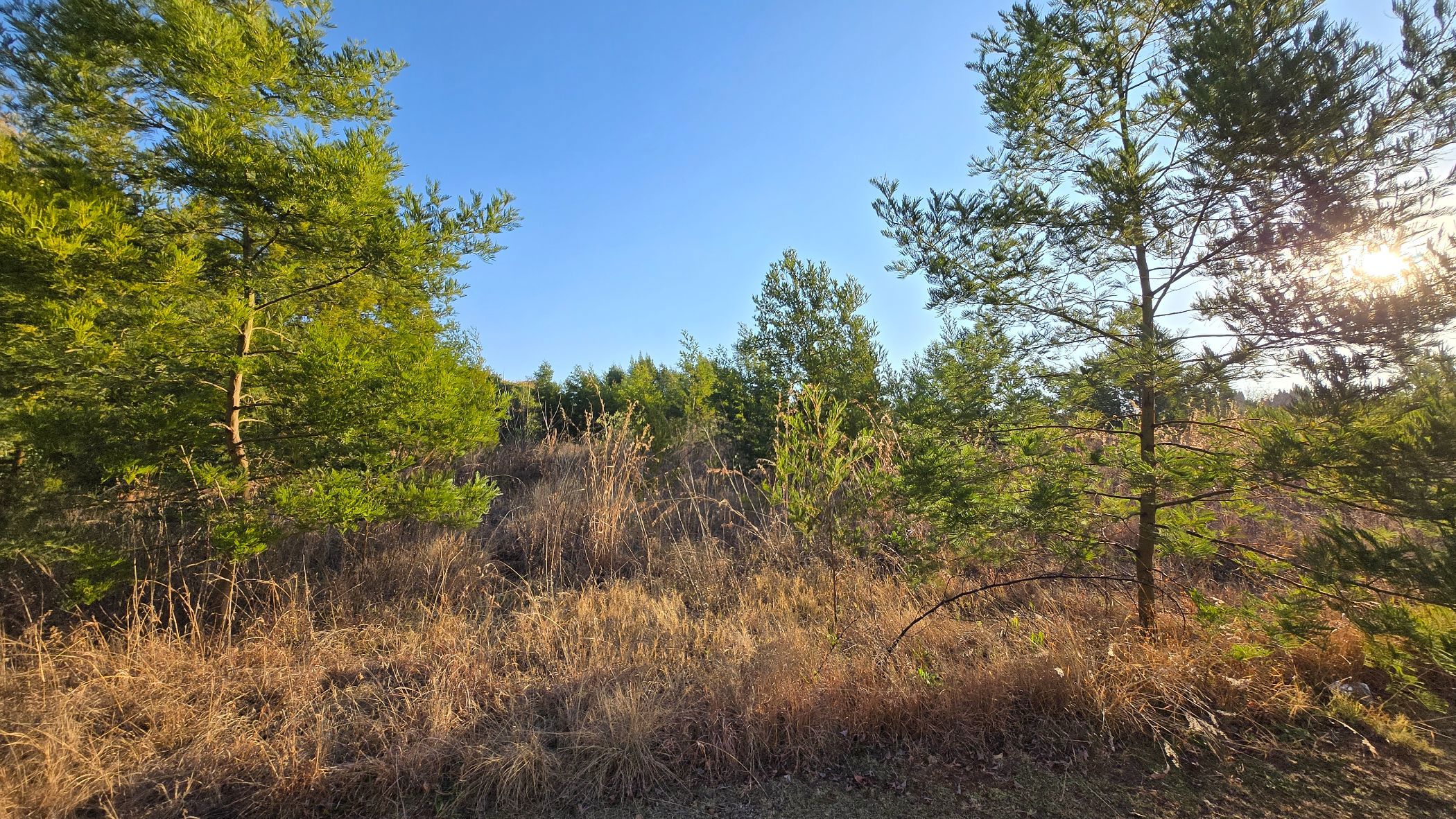 Residential vacant land for sale in Mooikloof - PT1709427