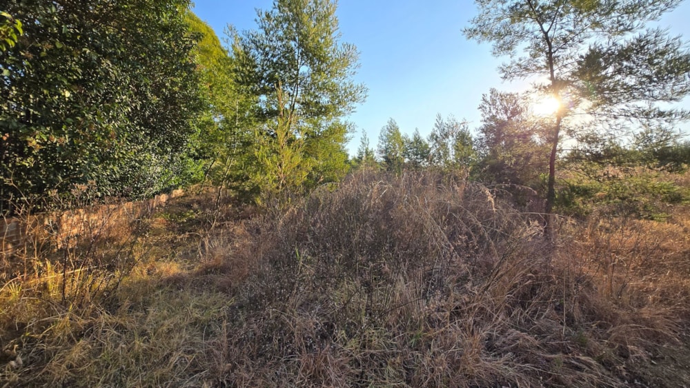 Residential vacant land for sale in Mooikloof - PT1709427 Residential vacant land for sale in Mooikloof - PT1709427