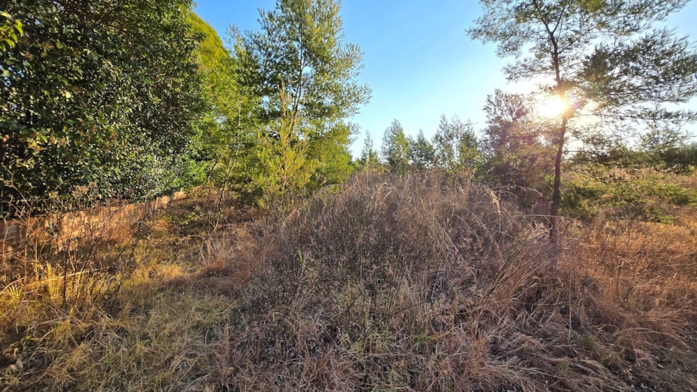 Residential vacant land for sale in Mooikloof - PT1709427 Residential vacant land for sale in Mooikloof - PT1709427