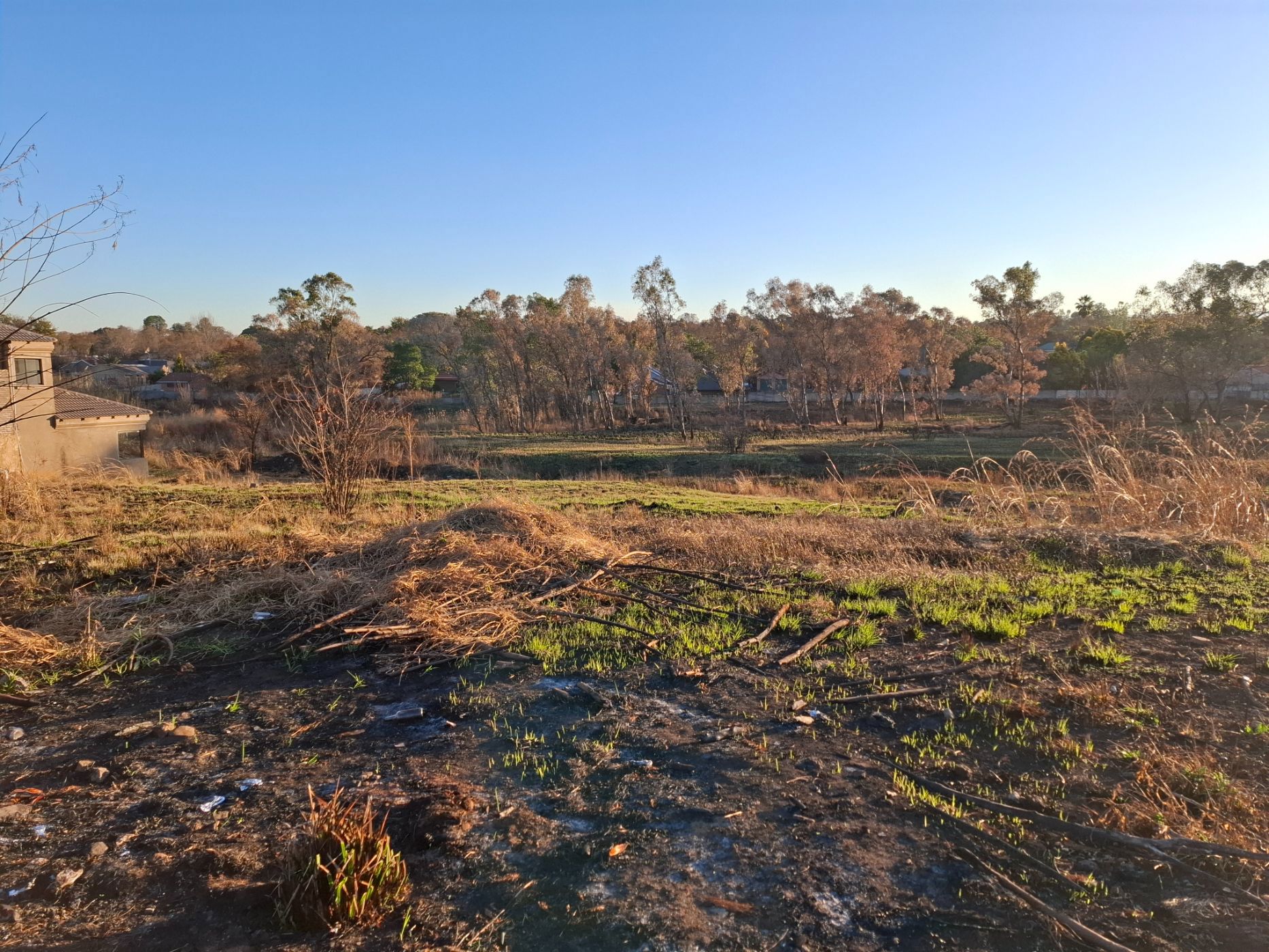 Residential vacant land for sale in Pioneer Park - 1NW1709597