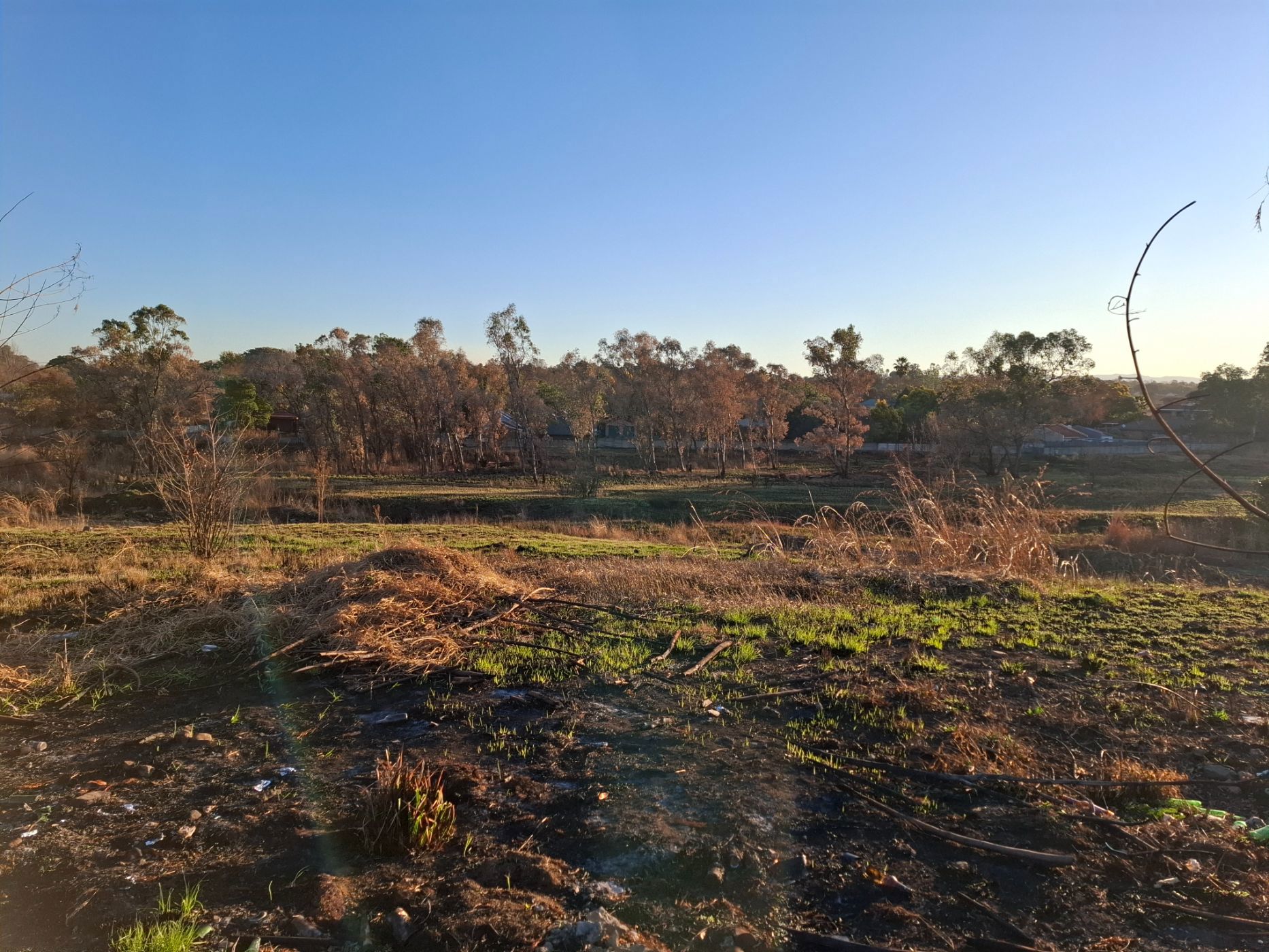 Residential vacant land for sale in Pioneer Park - 1NW1709593