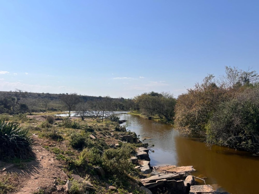 Game farm for sale in Bedford - 1GC1706066