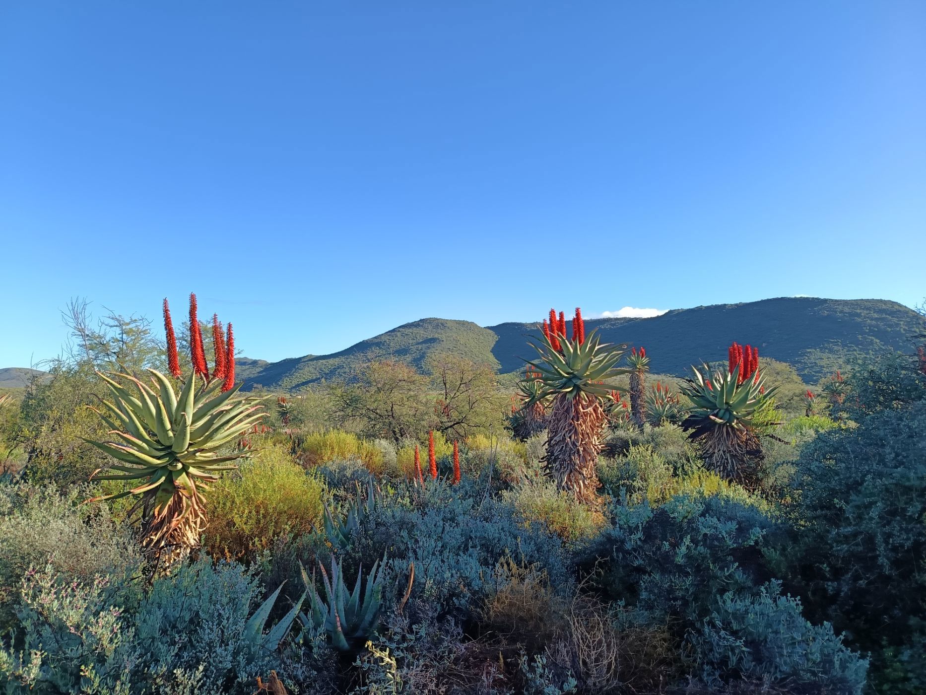 Farm vacant land for sale in Oudtshoorn Rural - 1OU1706834