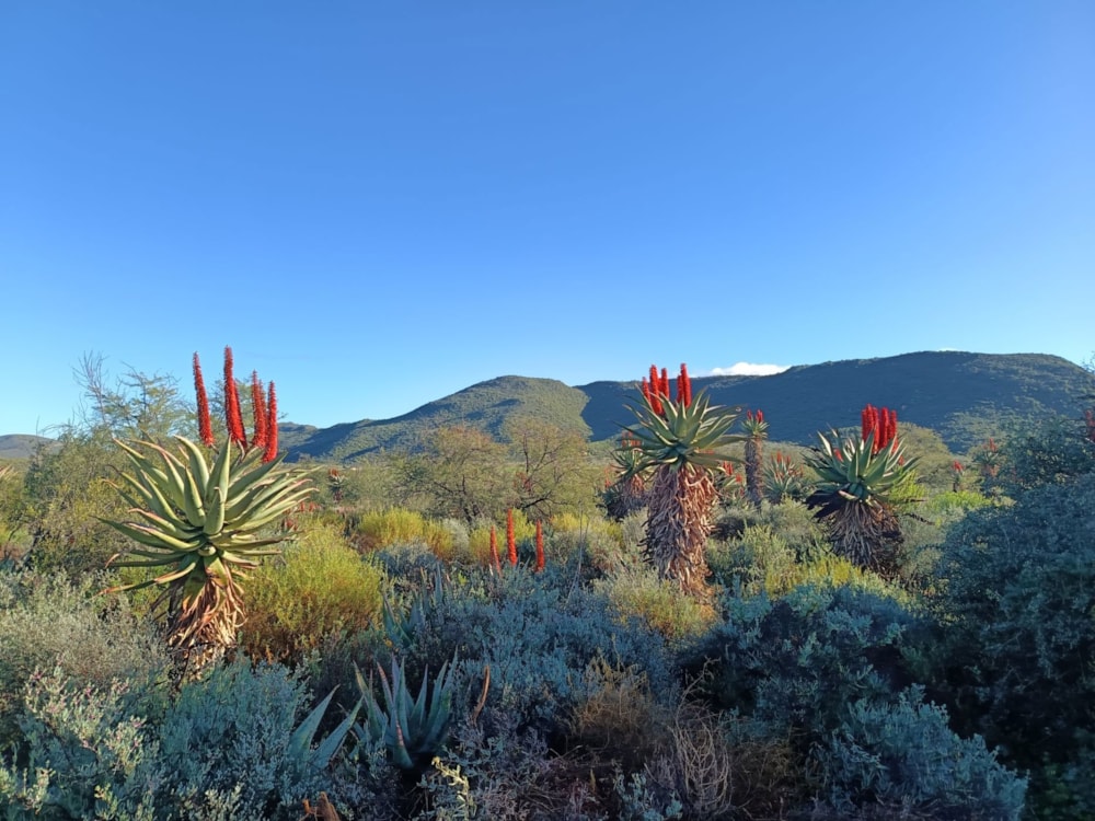 Farm vacant land for sale in Oudtshoorn Rural - 1OU1706834