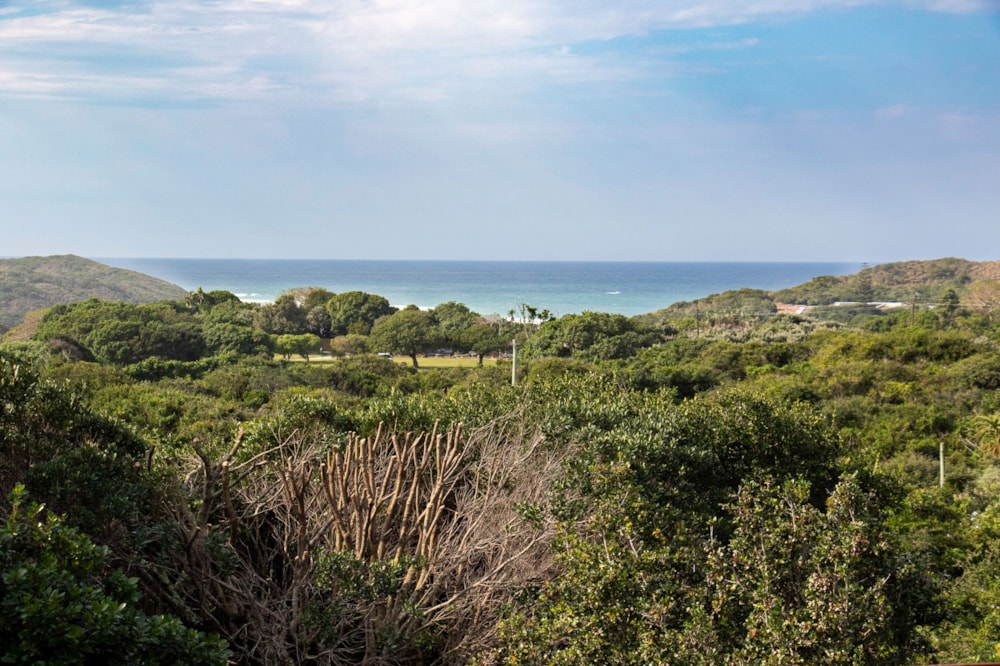 House sold in Kenton on Sea - 1KO1706468 House sold in Kenton on Sea - 1KO1706468