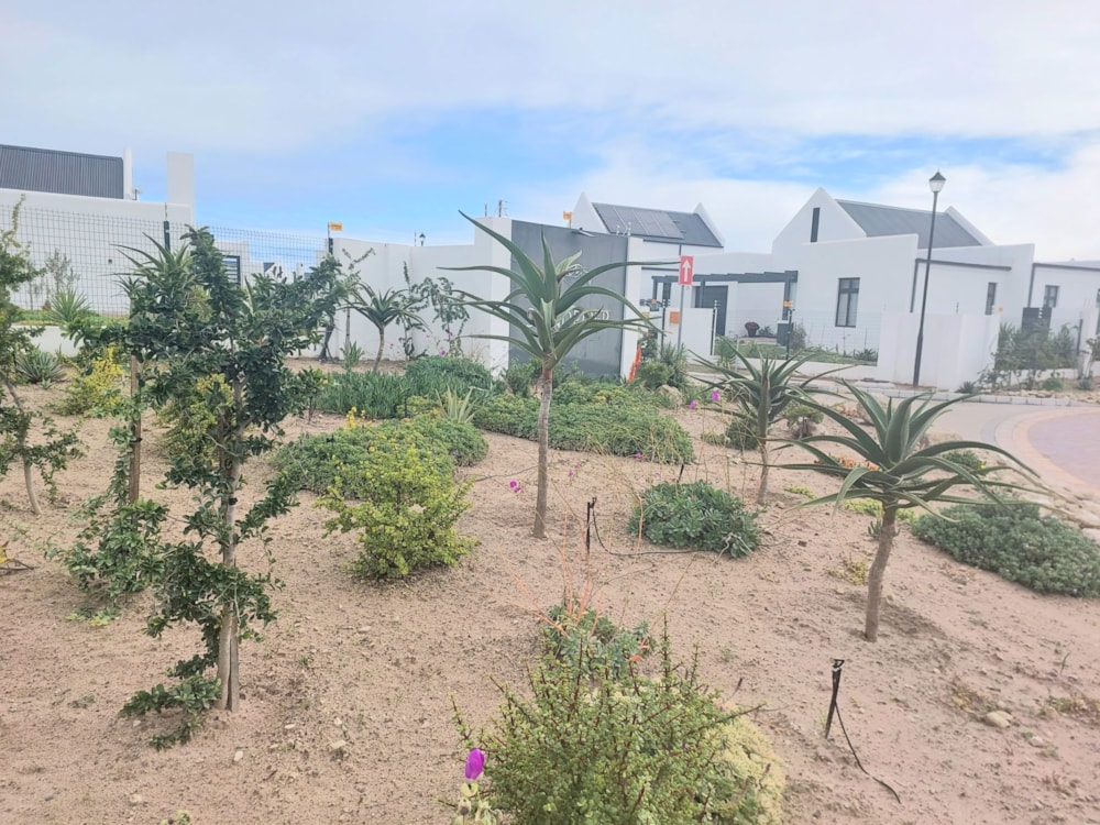 House let in Laguna - LBL1706478 House let in Laguna - LBL1706478