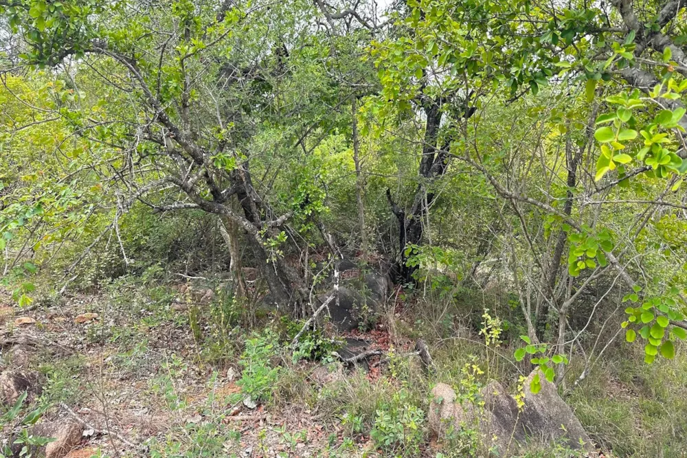 Residential vacant land for sale in Sabie Park - 1WR1706593