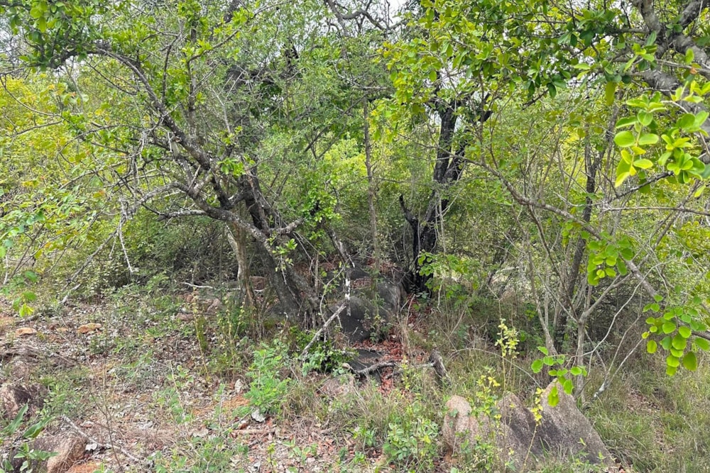 Residential vacant land for sale in Sabie Park - 1WR1706593 Residential vacant land for sale in Sabie Park - 1WR1706593