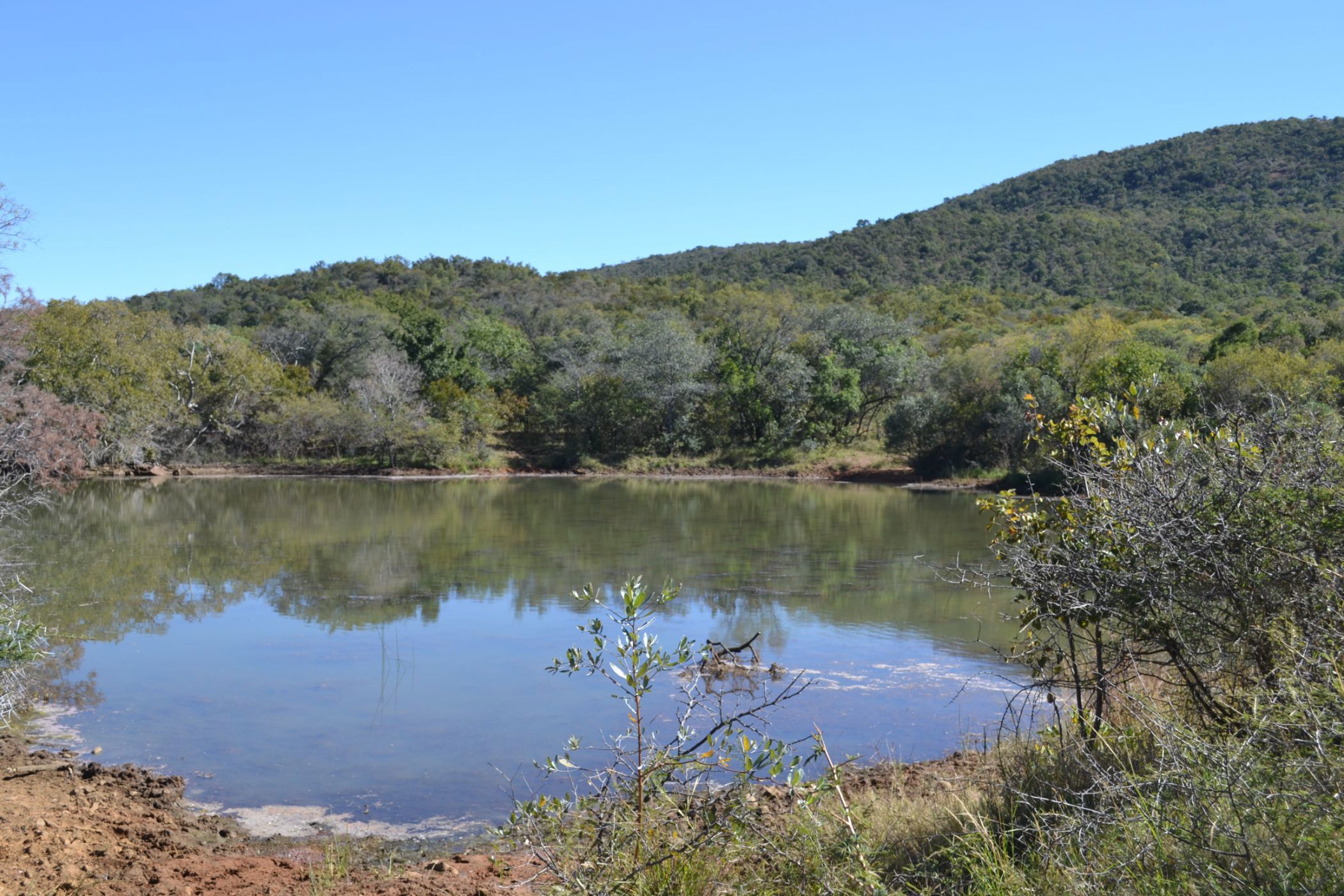 Game lodge for sale in Mookgopong Rural - 1MDM1706602