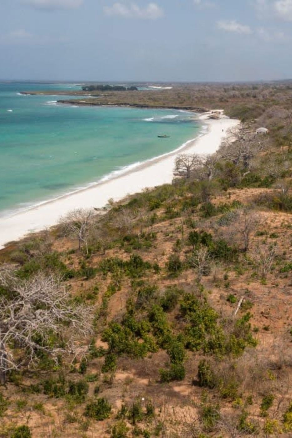 Farm vacant land for investment in Zambézia, Zambézia, Mozambique - 3MQ1706608 Farm vacant land for investment in Zambézia, Zambézia, Mozambique - 3MQ1706608