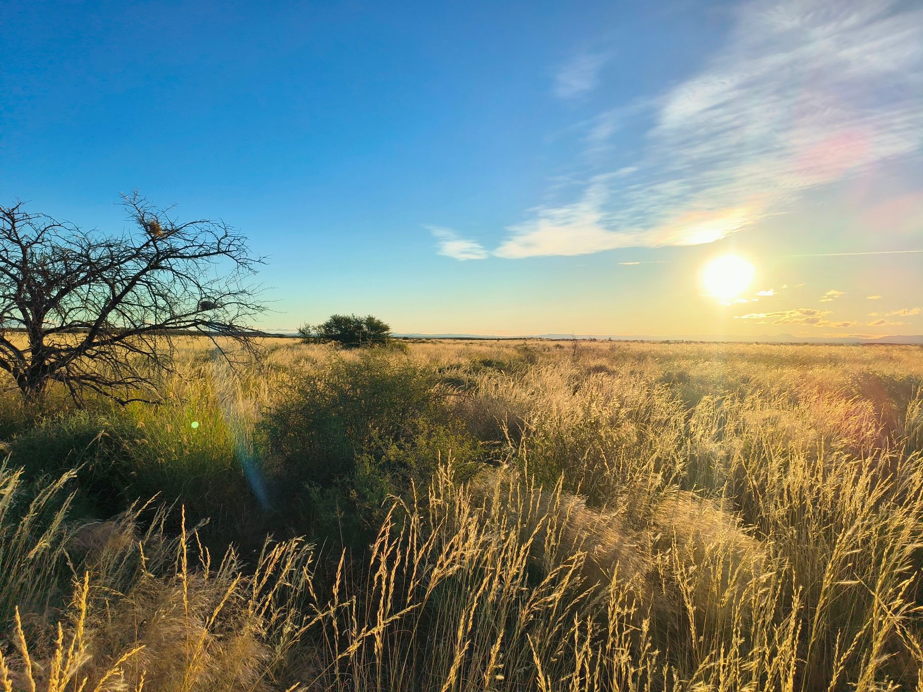 Livestock farm for sale in Beaufort West Rural - 1KK1706614