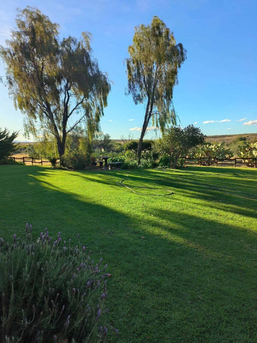 Livestock farm for sale in Beaufort West Rural - 1KK1706614