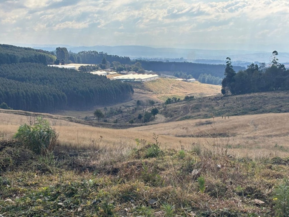 Vacant land for sale in Winterskloof - 1PM1706728 Vacant land for sale in Winterskloof - 1PM1706728