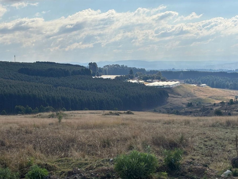 Vacant land for sale in Winterskloof - 1PM1706728 Vacant land for sale in Winterskloof - 1PM1706728