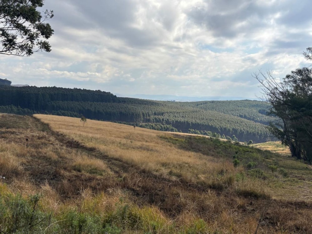 Vacant land for sale in Winterskloof - 1PM1706739 Vacant land for sale in Winterskloof - 1PM1706739