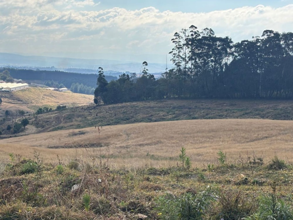 Vacant land for sale in Winterskloof - 1PM1706739 Vacant land for sale in Winterskloof - 1PM1706739