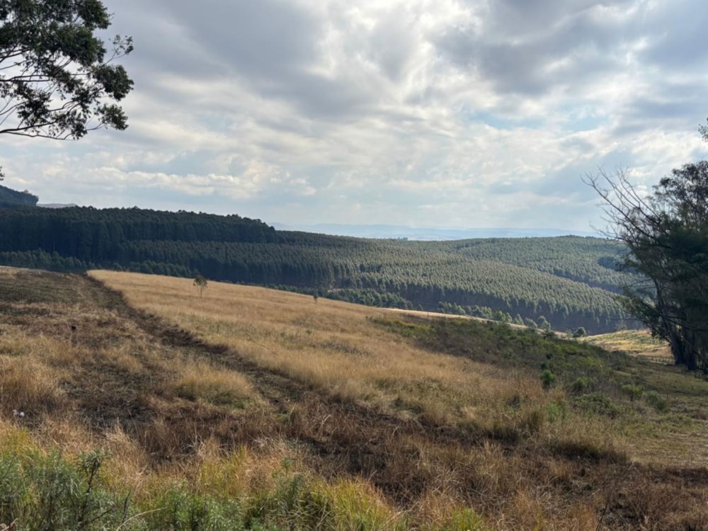 Vacant land for sale in Winterskloof - 1PM1706739 Vacant land for sale in Winterskloof - 1PM1706739