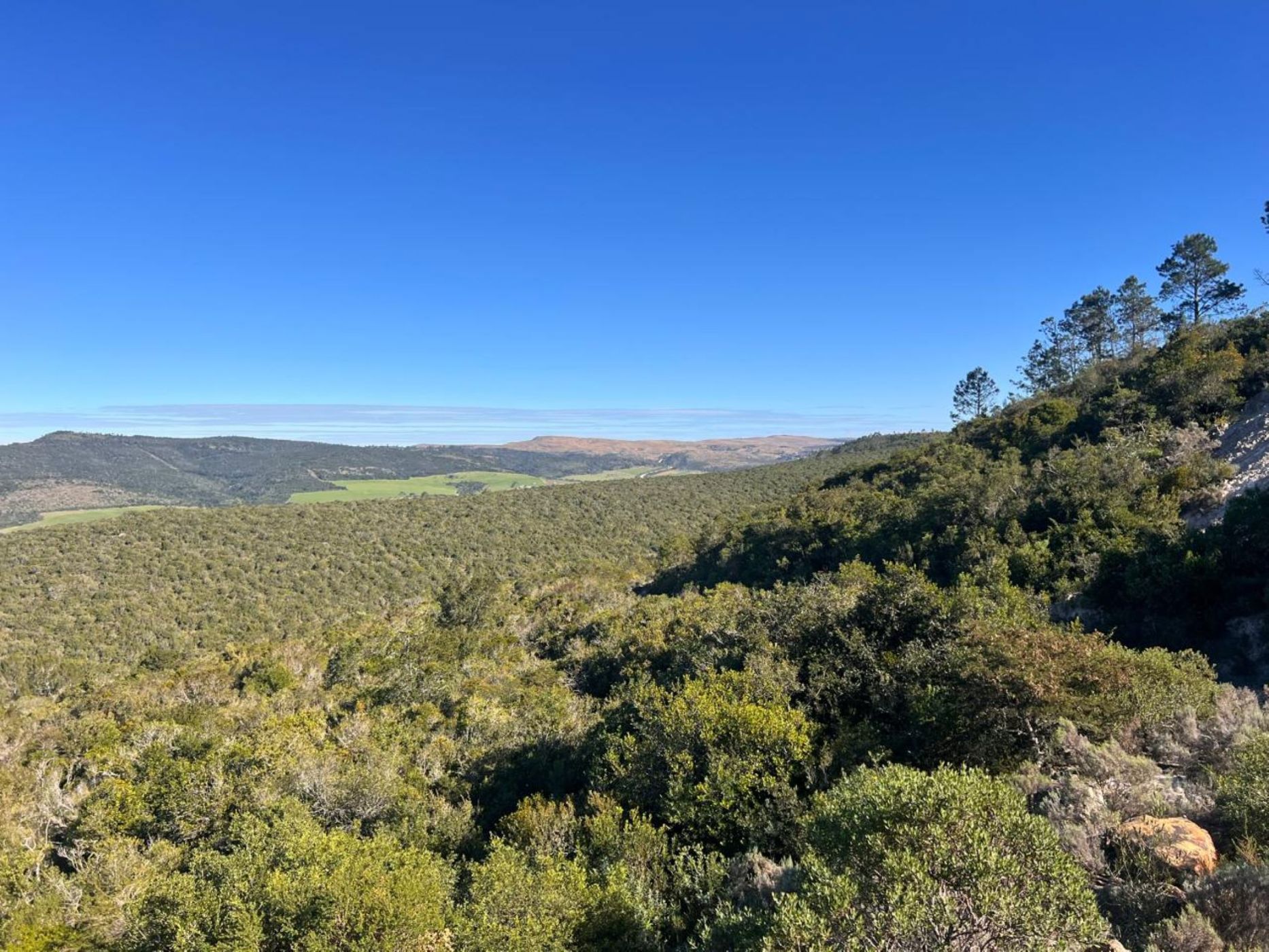 Mixed use farm for sale in Grahamstown (Makhanda) - 1GC1706687