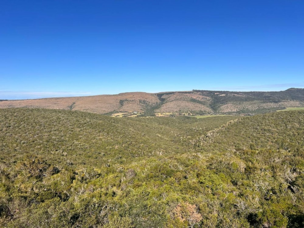 Mixed use farm for sale in Grahamstown (Makhanda) - 1GC1706687