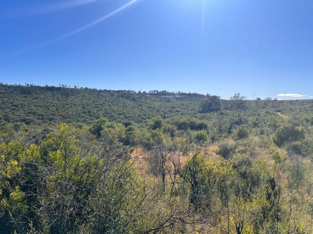 Mixed use farm for sale in Grahamstown (Makhanda) - 1GC1706687