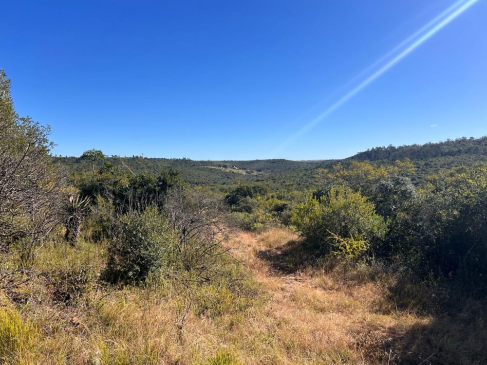 Mixed use farm for sale in Grahamstown (Makhanda) - 1GC1706687