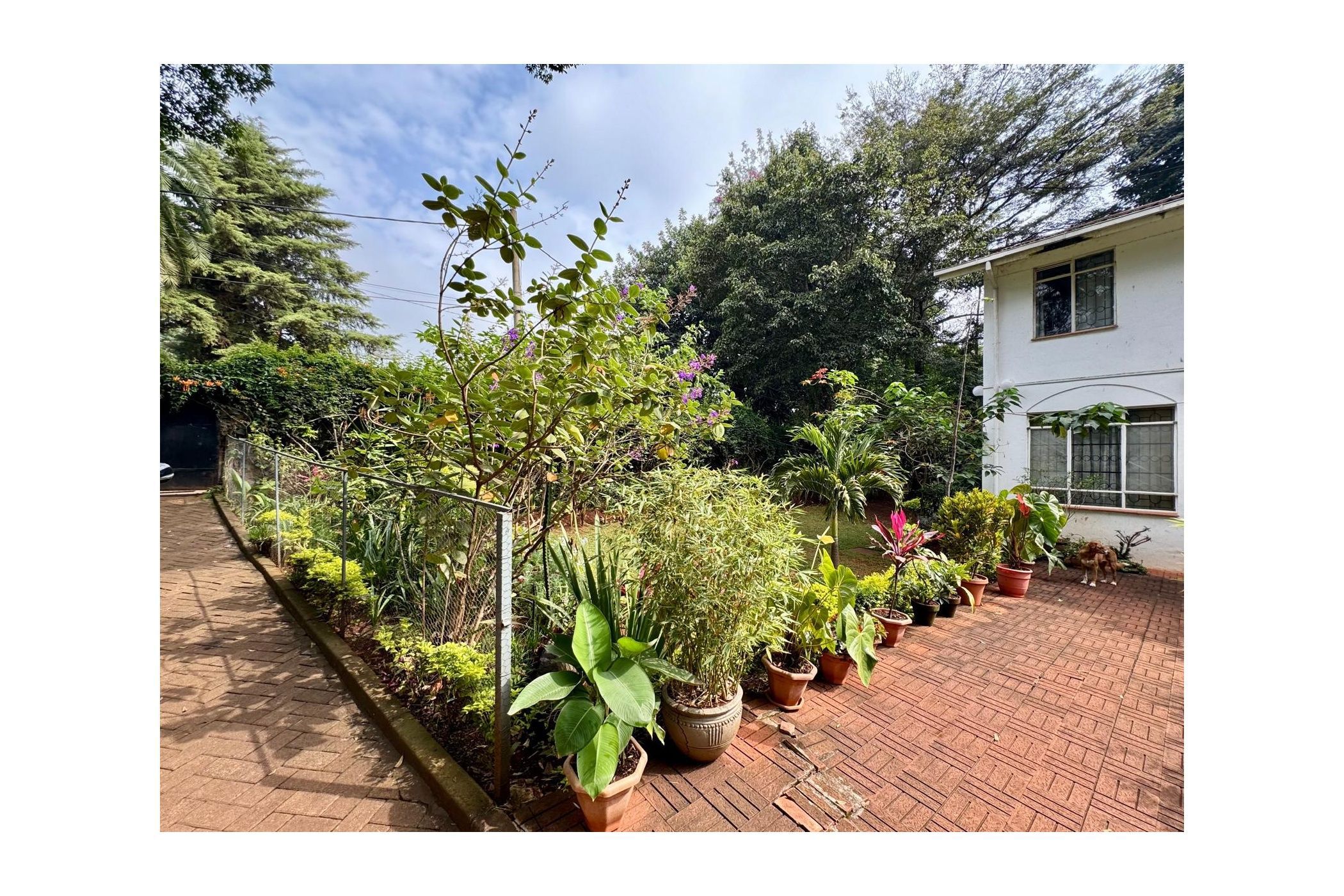 House to rent in Gigiri, Kenya - 3KE1706715