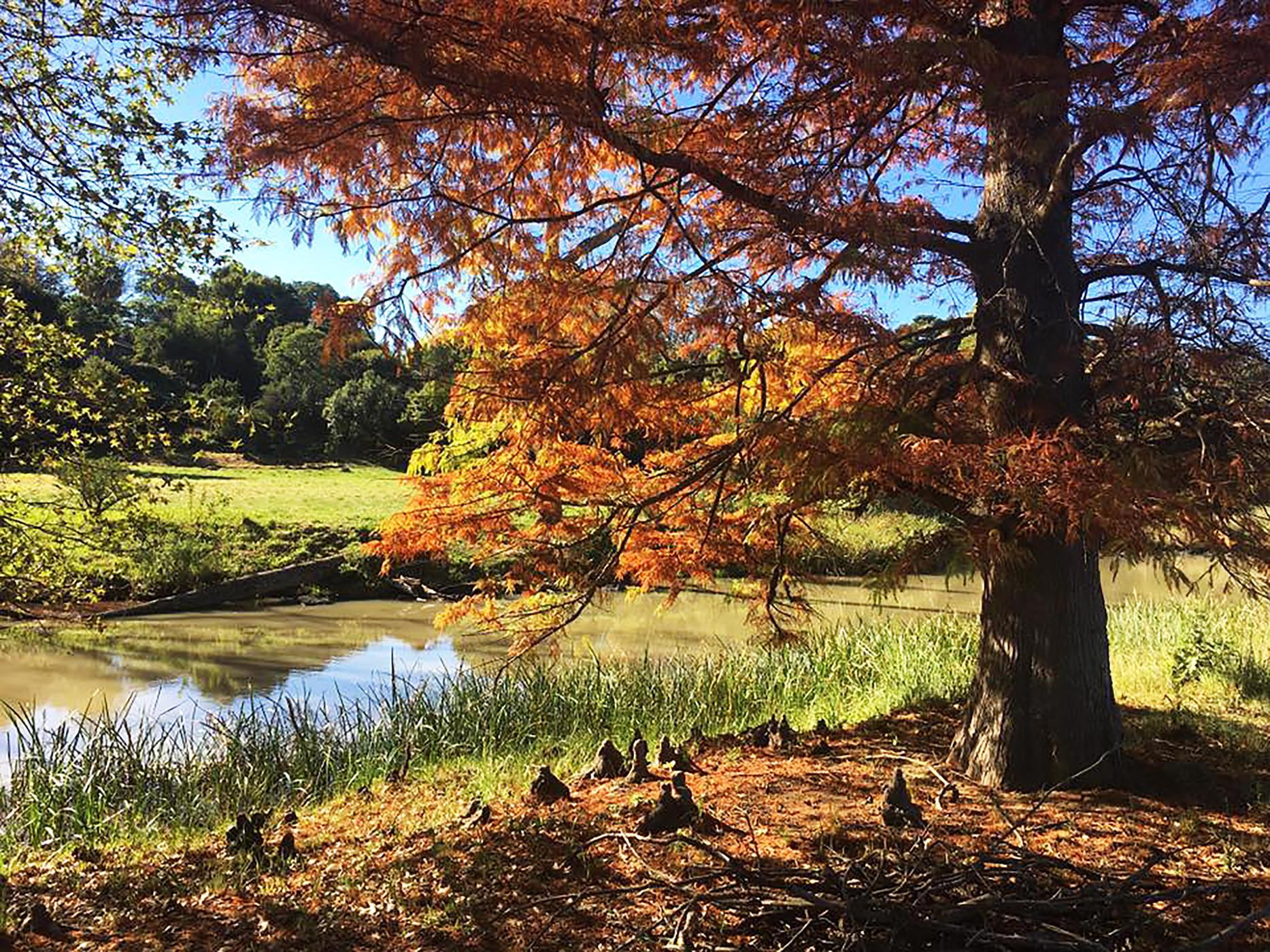 Vacant land for sale in Howick - 1PM1707089