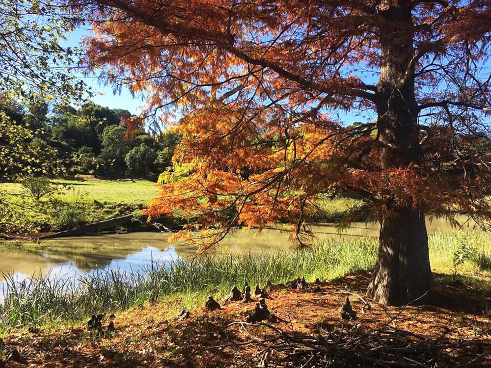 Vacant land for sale in Howick - 1PM1707089 Vacant land for sale in Howick - 1PM1707089