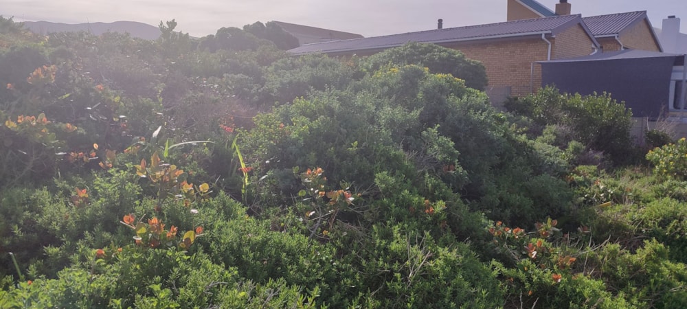 Vacant land for sale in Franskraal - 1SW1707224