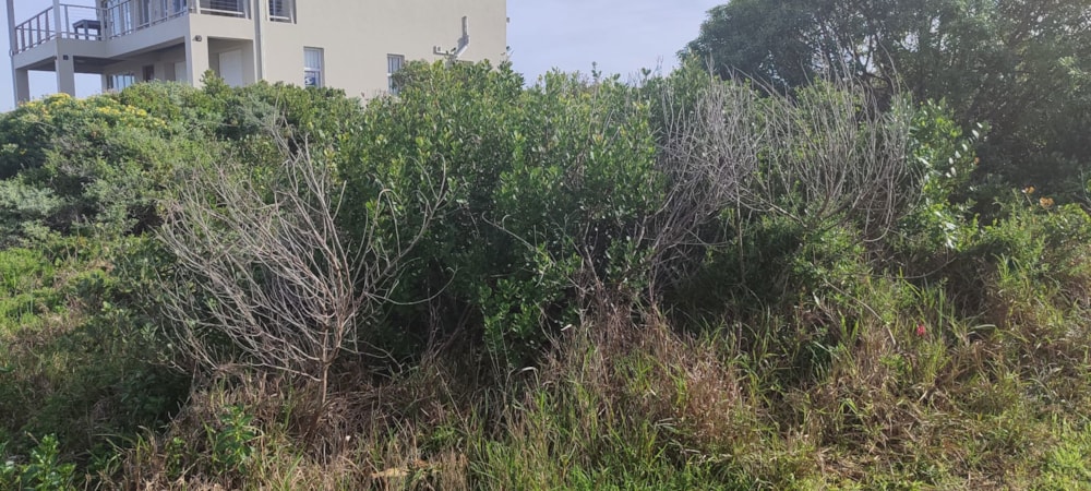 Vacant land for sale in Franskraal - 1SW1707224