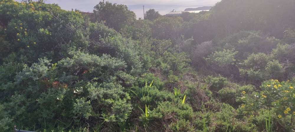 Vacant land for sale in Franskraal - 1SW1707224